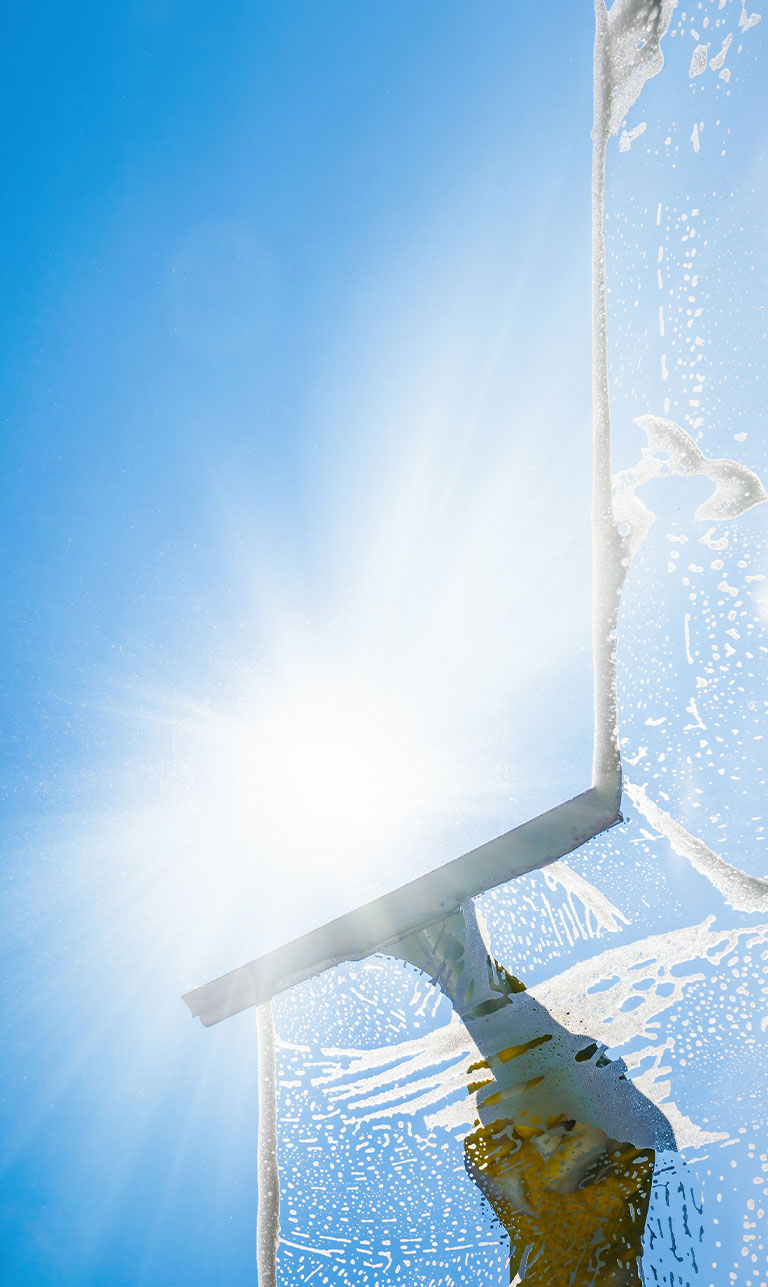 TA Window Cleaning Services
